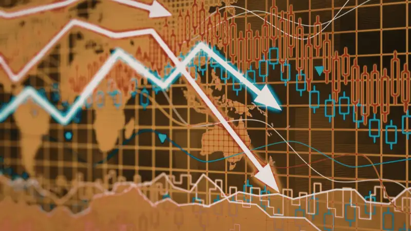 Major Export Destinations and Market Trends