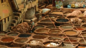 LWG-Audited Tanneries in Pakistan - Akram Tannery Kasur